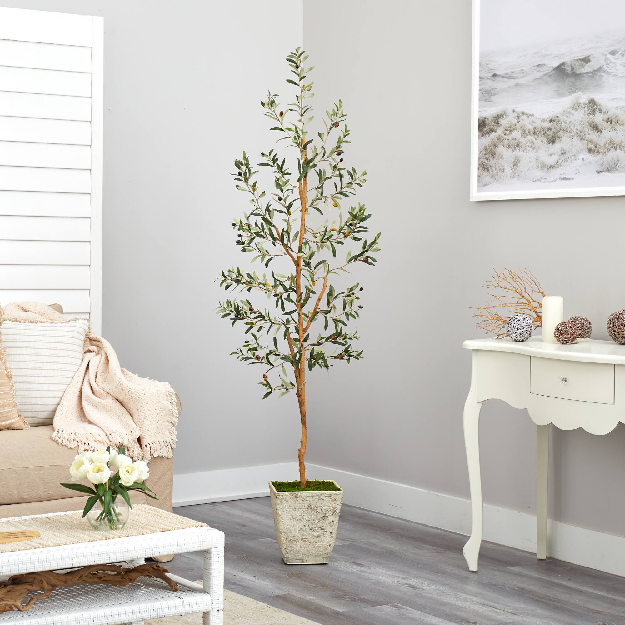 6ft. Olive Artificial Tree in Country White Planter